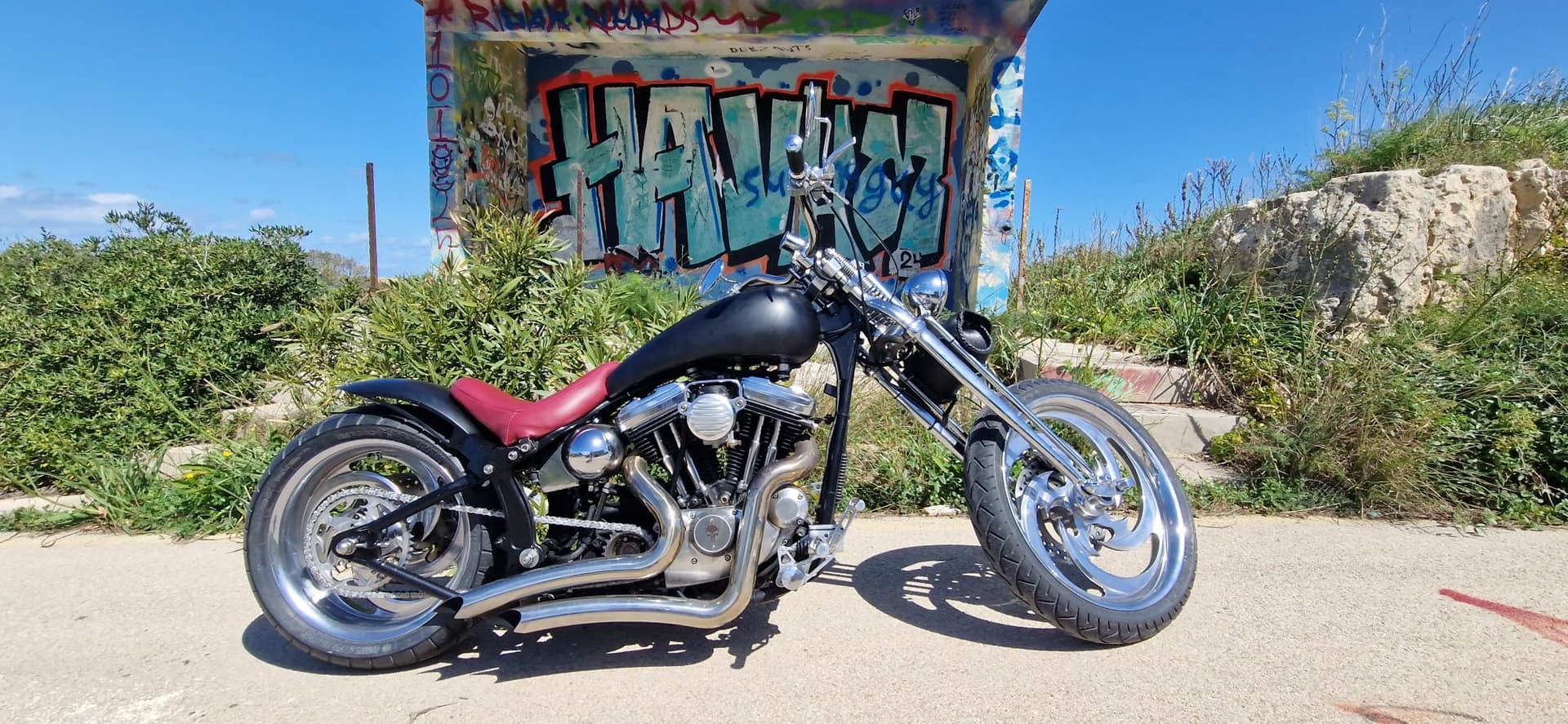 1994 Harley-Davidson Sportster Xlh sporster customed 4