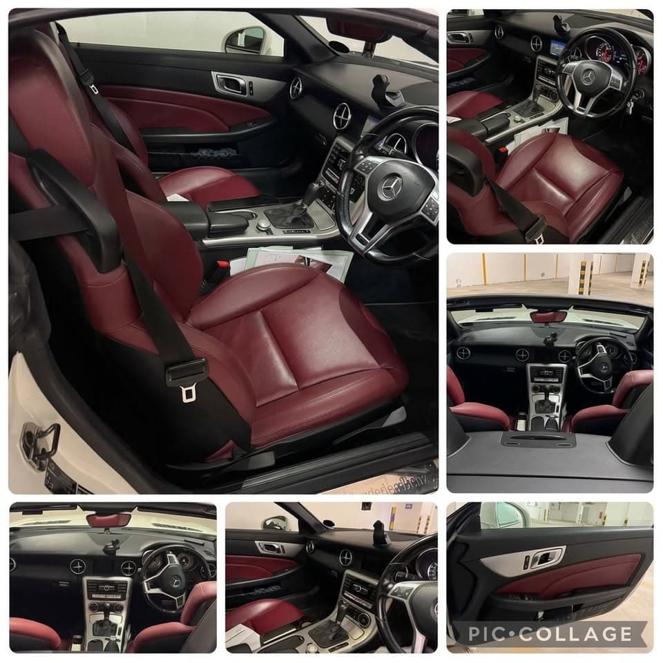 2013 Mercedes-Benz SLK SLK 250 CDI 10